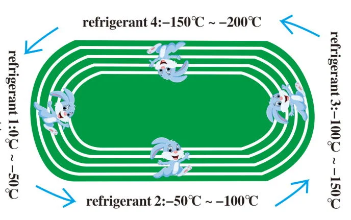 Mixed Working Medium Nitrogen Liquefier for Embryo