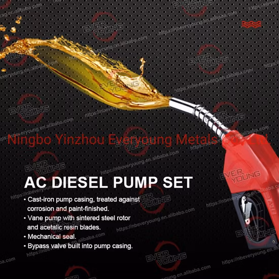 100L Portable Diesel Tank for Farm Machinery Construction HDPE Fuel Transfer Tank with Wheels 12V Electric Pump Plastic Fuel Gas Tank